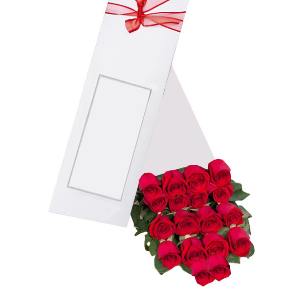 Caja de 17 Rosas Rojas